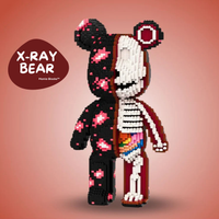 X-RAY BEAR